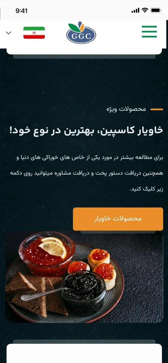 طراحی پلتفرم وب قفس گستران کاسپین